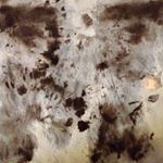 Profile Picture of Alex Pitre (@_alex_pitre_) on Instagram