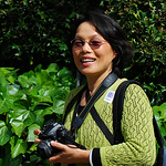 Profile Picture of Lisa Huang (@lisahuang.photography) on Flickr