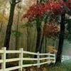 Profile Picture of Geetika Agrawal (@geetika.agrawal.3950) on Facebook
