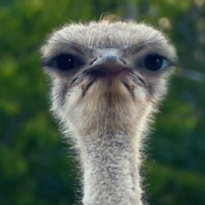 Profile Picture of Damian Mack (@DamianMack7) on Twitter