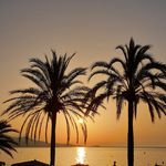 Profile Picture of Reiter Annette (@sarodin1) on Instagram