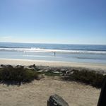 Profile Picture of Dave Tanner (@dave.tanner) on Instagram