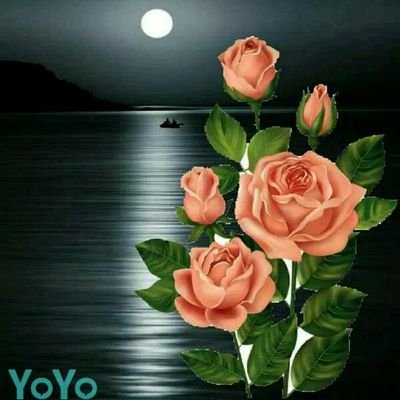 Profile Picture of Ashok Chandran (@AshokChandran15) on Twitter