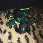 Profile Picture of Jeff Henery🤘🏼 new Acc (@vuseryolly52) on Instagram