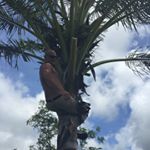 Profile Picture of ZP (@zachary.peters) on Instagram
