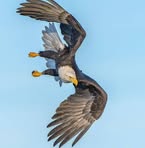 Profile Picture of Stephen Lemin (@stephen.lemin) on Facebook