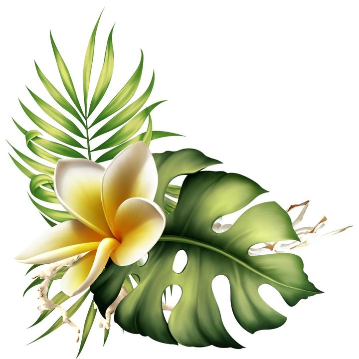 Profile Picture of Garcier (@fijipeople) on Tiktok