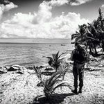 Profile Picture of Alex Herrington (@herringtonalex) on Instagram