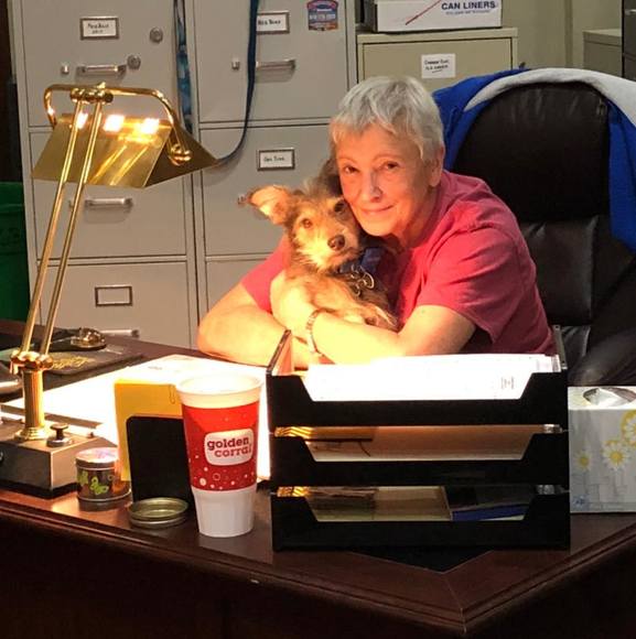 Profile Picture of Cece Feichtel (@cecefeichtel) on Poshmark