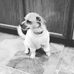 Profile Picture of connie (@conniestclairr) on Instagram