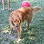 Brian Jeanette - Instagram Profile Picture of Brian Jeanette (@brian.jeanette) on Instagram