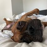 Profile Picture of Autumn Ramirez (@autumn_712) on Instagram