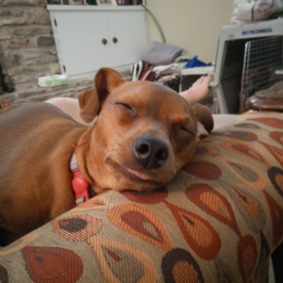 Profile Picture of Mark Barron (@newstem) on Twitter