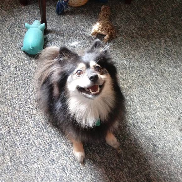 Profile Picture of Diane Walter reid (@dianawalterreid) on Poshmark