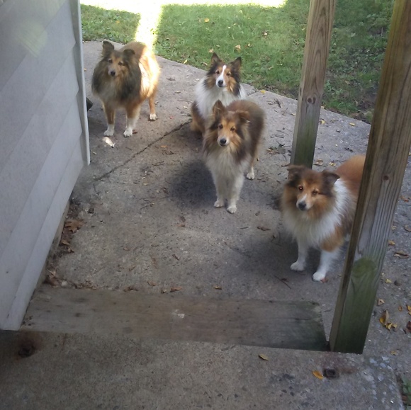 Profile Picture of Chriss Meyers (@chrissmeyers) on Poshmark