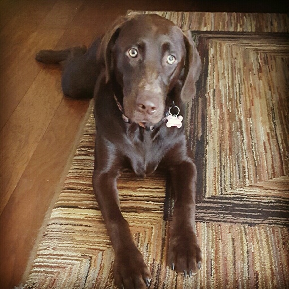 Profile Picture of Heather Piper (@piperheather) on Poshmark