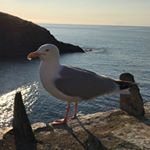 Profile Picture of Matthew Whiteley🏙 (@mwphotography04) on Instagram