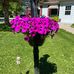 Profile Picture of Kathy Holford (@kathy.holford.75) on Facebook