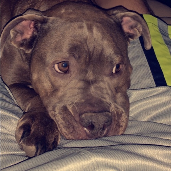 Harrison Marek - Poshmark Profile Picture of Harrison Marek (@harrison_marek) on Poshmark