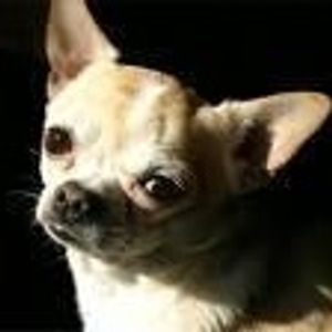 Profile Picture of Cathy Keel (@cathie12343) on Myspace