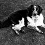 Profile Picture of Lunch For students (@joshua.roten18) on Instagram