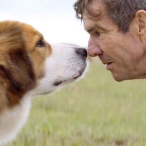 Profile Picture of ryanmcandrews7 (@ryanmcandrews7) on Tiktok