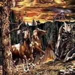 Profile Picture of Steven Vasallo (@stevenvasallo) on Instagram