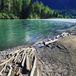 Profile Picture of Lori Knorr (Nika) (@loriknorrstudio8) on Instagram