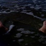 Profile Picture of Michael Allred (@mikeymike2469) on Instagram