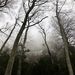 Profile Picture of Mary Utterance (@UtteranceMM) on Pinterest