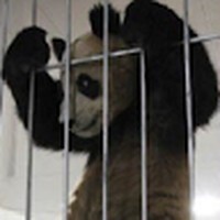Profile Picture of Mozner  (@mozner) on Quora