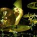 Profile Picture of Carl Meehan Drummer (@carlmeehan.drummer) on Facebook