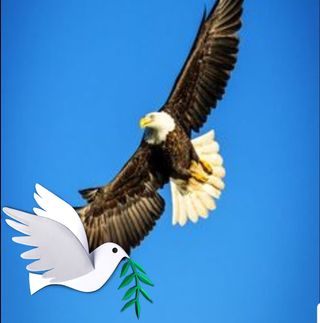 Profile Picture of Kevin Quach (@kevin.quach.127) on Facebook