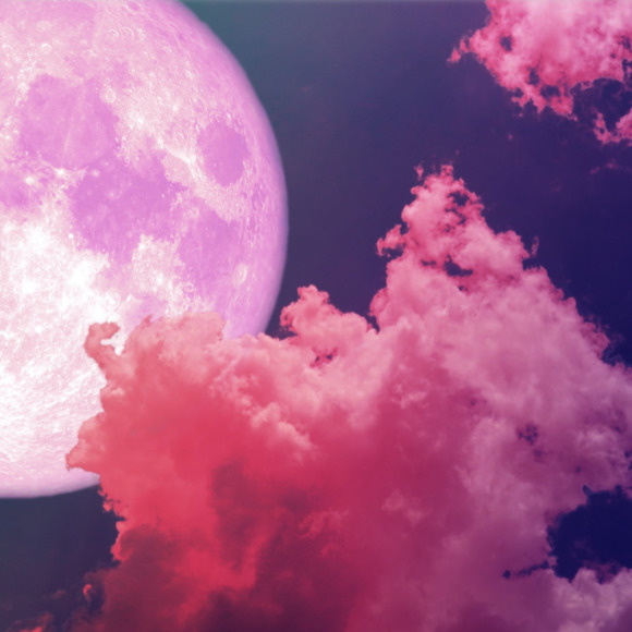 Profile Picture of Diane Monteilh (@dianemonteilh) on Poshmark