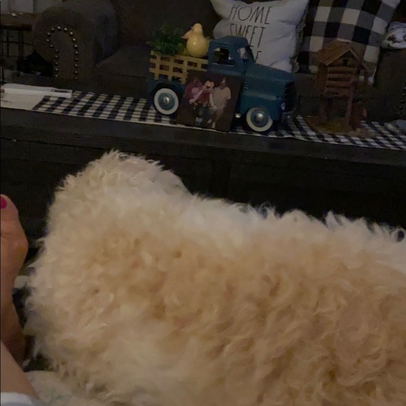 Profile Picture of Linda Amrhein (@lamrhein1213) on Poshmark