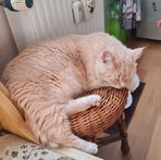 Profile Picture of Lieger Moretto Junior Moretto (@Lieger-Moretto-Junior-Moretto) on Facebook