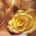 Profile Picture of Lidia Luengo (@lidia.luengo.35) on Facebook