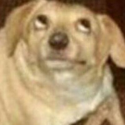 Profile Picture of JACOB FABRI (@datboiijacob) on Tiktok