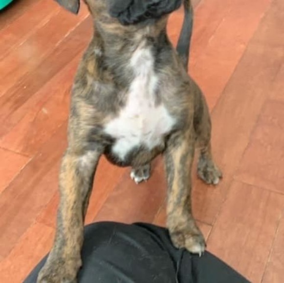 Profile Picture of Randy Krushelniski (@rkrushelniski) on Poshmark