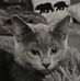 Profile Picture of Nan Campbell (@nan.campbell.98) on Facebook