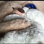 Profile Picture of ❥ BEST FRIENDS (@guentherundalbertine) on Instagram