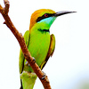 Profile Picture of MUKESH CHANDRA (@mukeshchandra) on Flickr