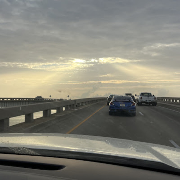 Profile Picture of Ava Cheung (@avaccheung) on Poshmark