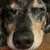 Profile Picture of Bradley Bashaw (@bradley.bashaw.3) on Facebook