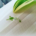 Profile Picture of 이동은 (@anna_joy_hoho) on Instagram