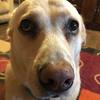 Profile Picture of lorihagerman120 (@lorihagerman120) on Tiktok