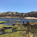 Profile Picture of Kato (@_katevaughan) on Instagram