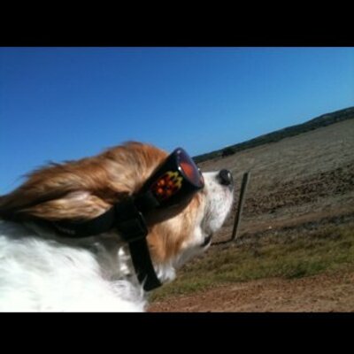 Profile Picture of Sandy Heath (@SnipSnappa) on Twitter