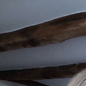 Profile Picture of Rachel Nuttall (@rachelnuttall4) on Pinterest