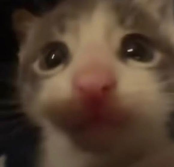 Profile Picture of Isabel Recendez (@isabelrecendez) on Poshmark